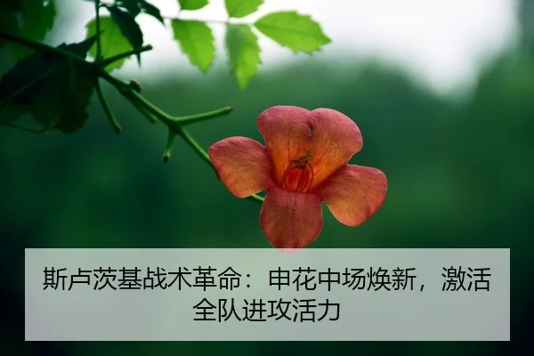 si-lu-ci-ji-zhan-shu-ge-ming-shen-hua-zhong-chang-huan-xin-ji-huo-quan-dui-jin-gong-huo-li-2-886.jpg