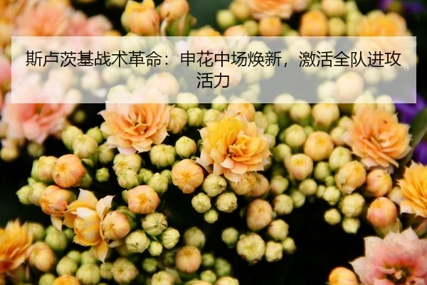 斯卢茨基战术革命：申花中场焕新，激活全队进攻活力