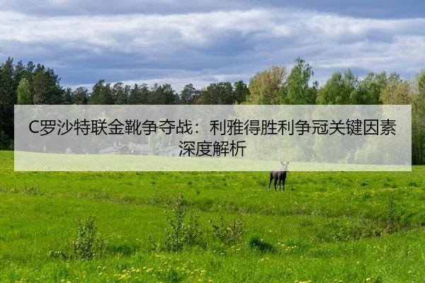 C罗沙特联金靴争夺战：利雅得胜利争冠关键因素深度解析