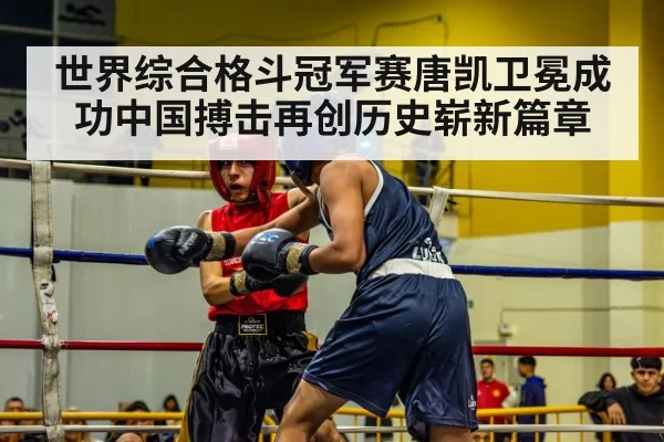 boxer in action