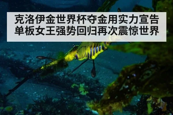 克洛伊金世界杯夺金用实力宣告单板女王强势回归再次震惊世界