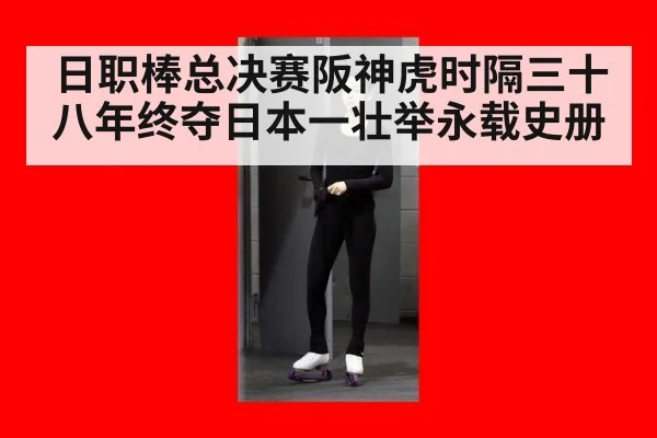 日职棒总决赛阪神虎时隔三十八年终夺日本一壮举永载史册