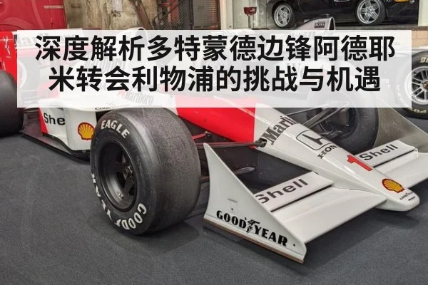 深度解析多特蒙德边锋阿德耶米转会利物浦的挑战与机遇